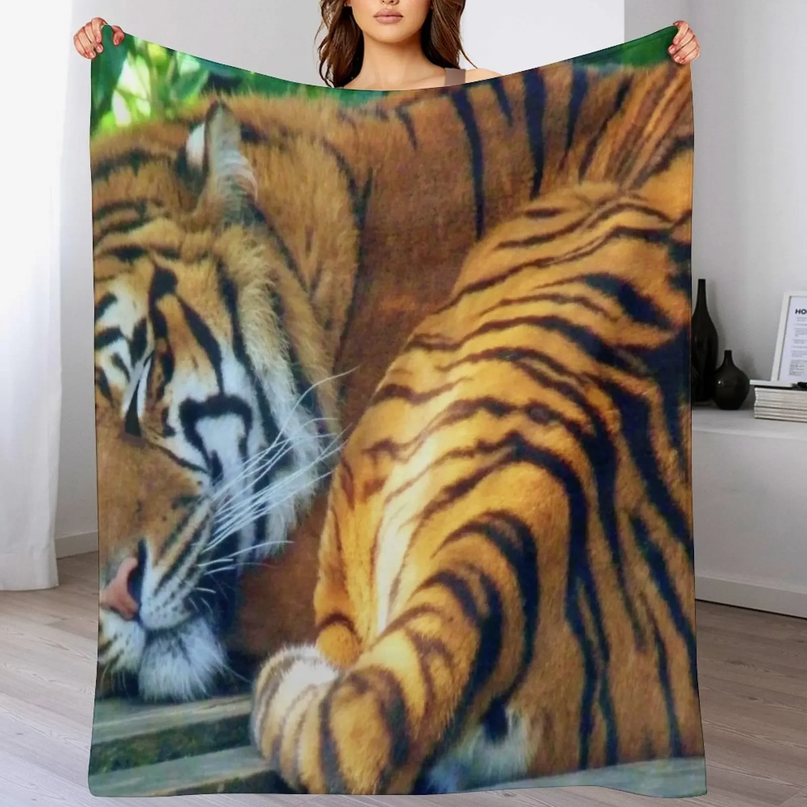 

Sleeping Beauty (white background) Throw Blanket Warm Comfortable Blanket for Office Napping