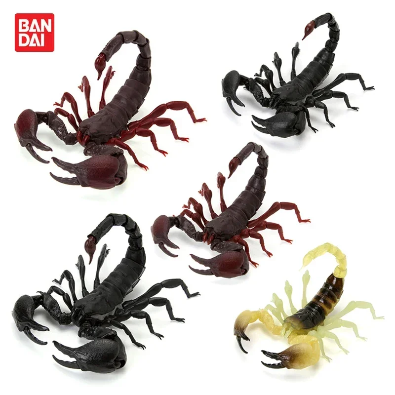 Original Genuine BANDAI Gashapon Cute Biology Map Giant Scorpion Insect Model Action Figure Capsule Toys Figurine Creative Gift