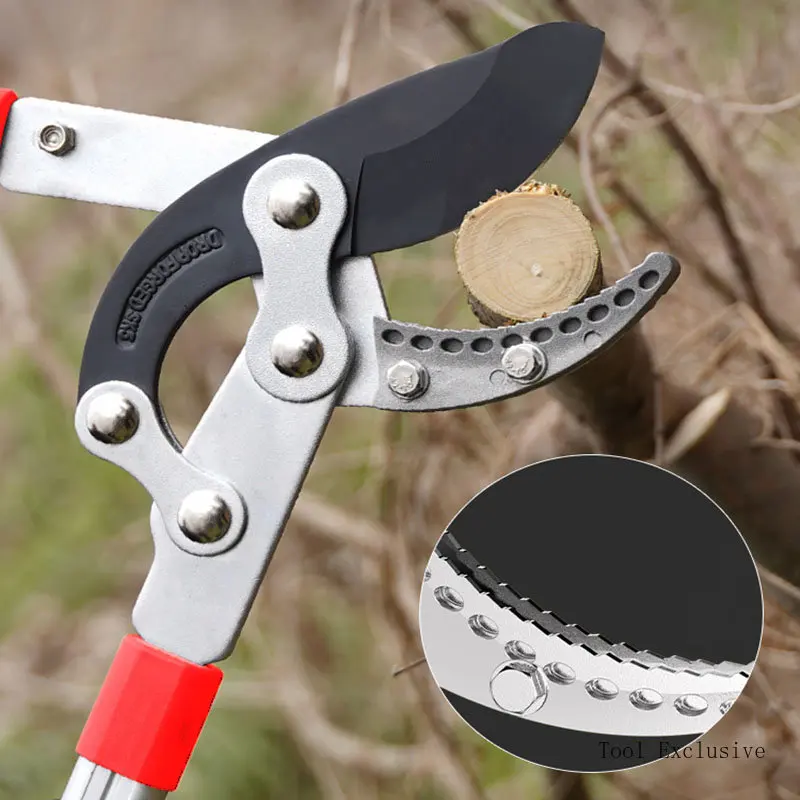 Imagem -02 - Tesoura de Poda de Aço Tesoura de Jardim Pruner Longo Tesoura de Ramo de Jardim Pruner de Árvore de Frutas Sk5