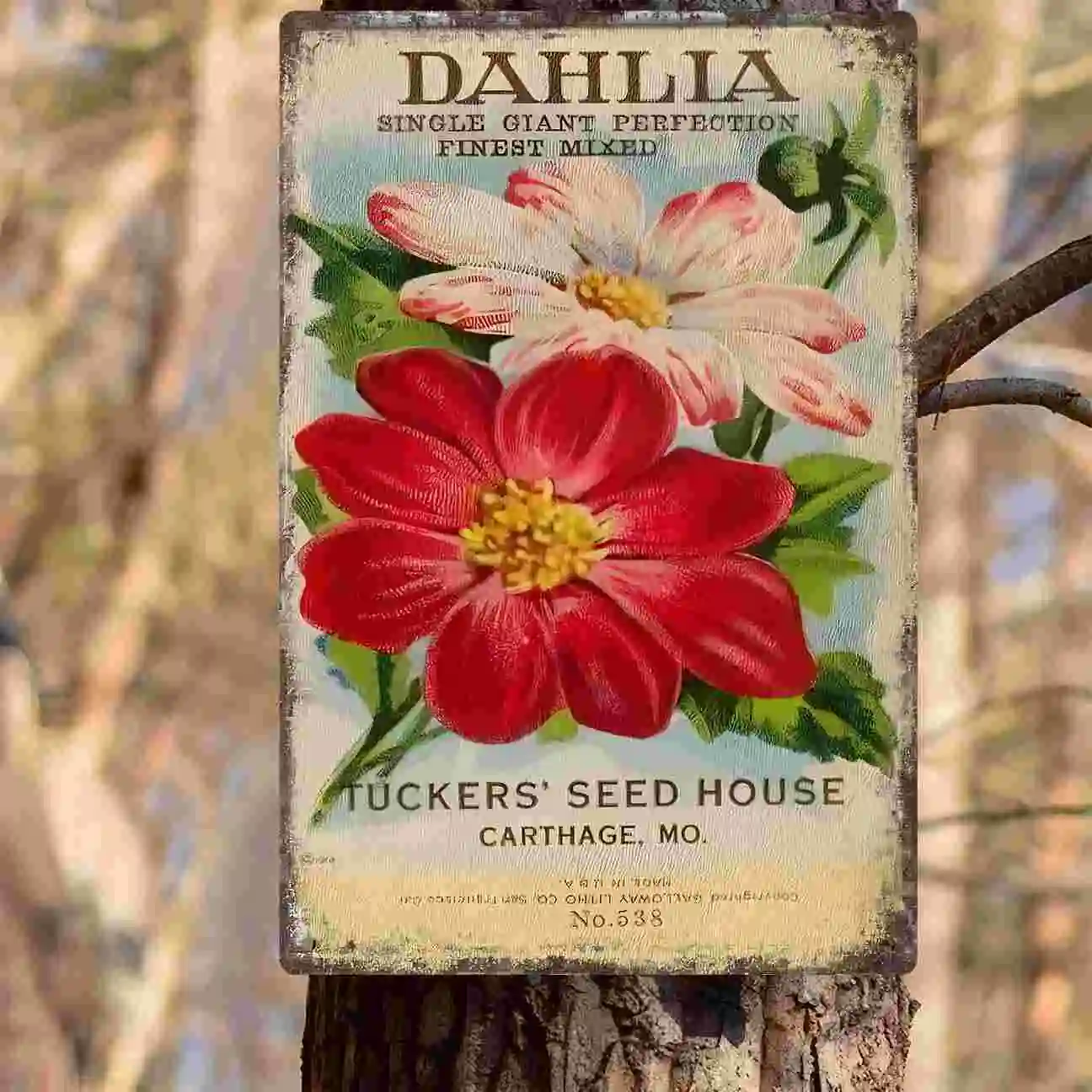 2D FLAT 1pc Vintage Dahlia Flower Seed Packet Metal Wall Sign Decoration for Home Cafe Garage Bedroom Porch And Garden view 5