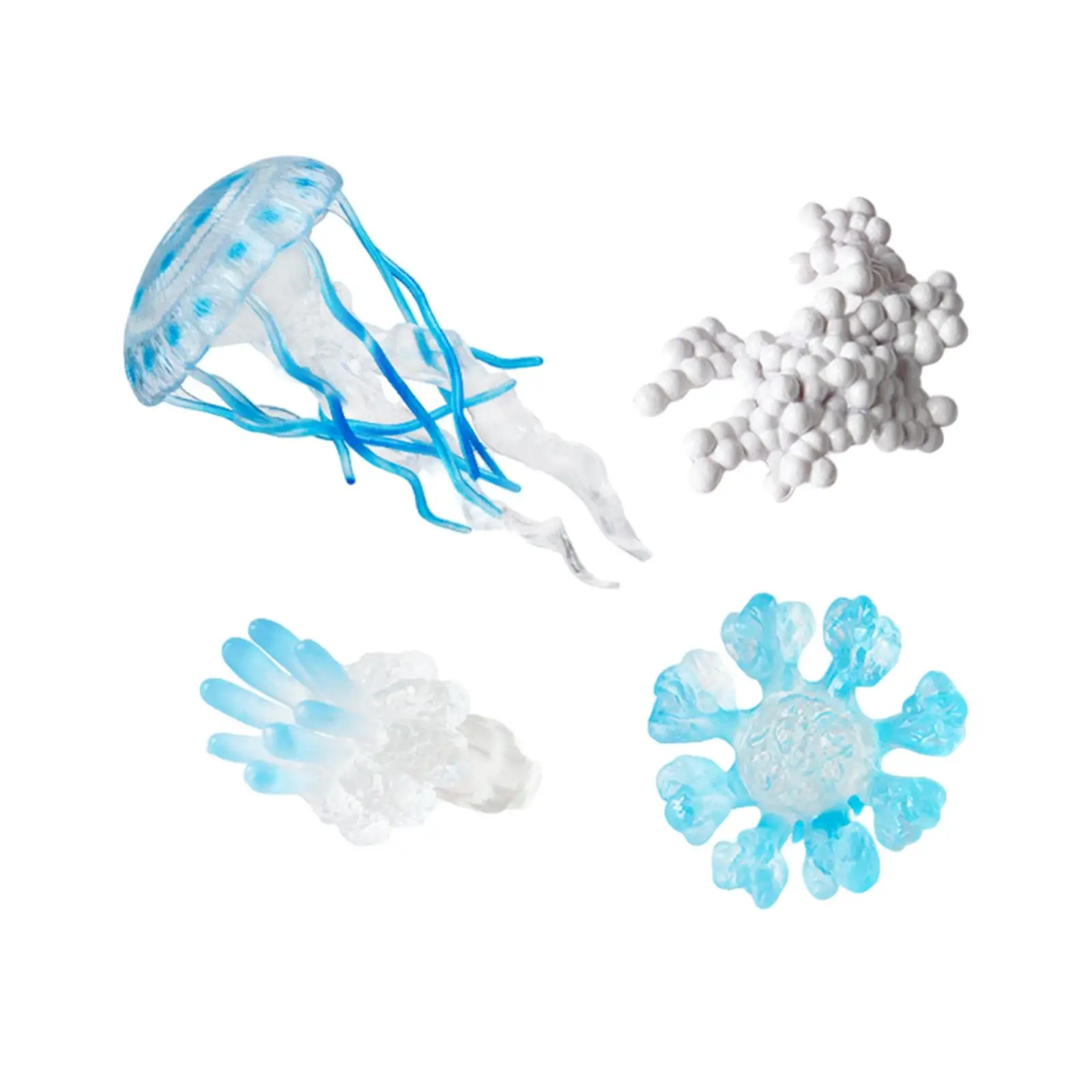 Kit giocattolo per adulti con polipo di uova di meduse Figure giocattolo di biologia Montessori per l'apprendimento cognitivo della prima infanzia