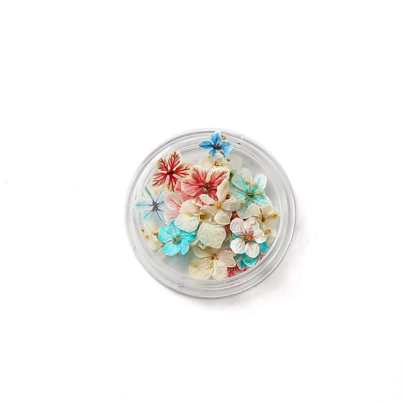 1個入り 夏のグラデーションフローラルネイルアート ドライフラワー ミックスカラー 天然押し花 ハンドメイドDIY ボックス入り ウェアラブルネイル素材