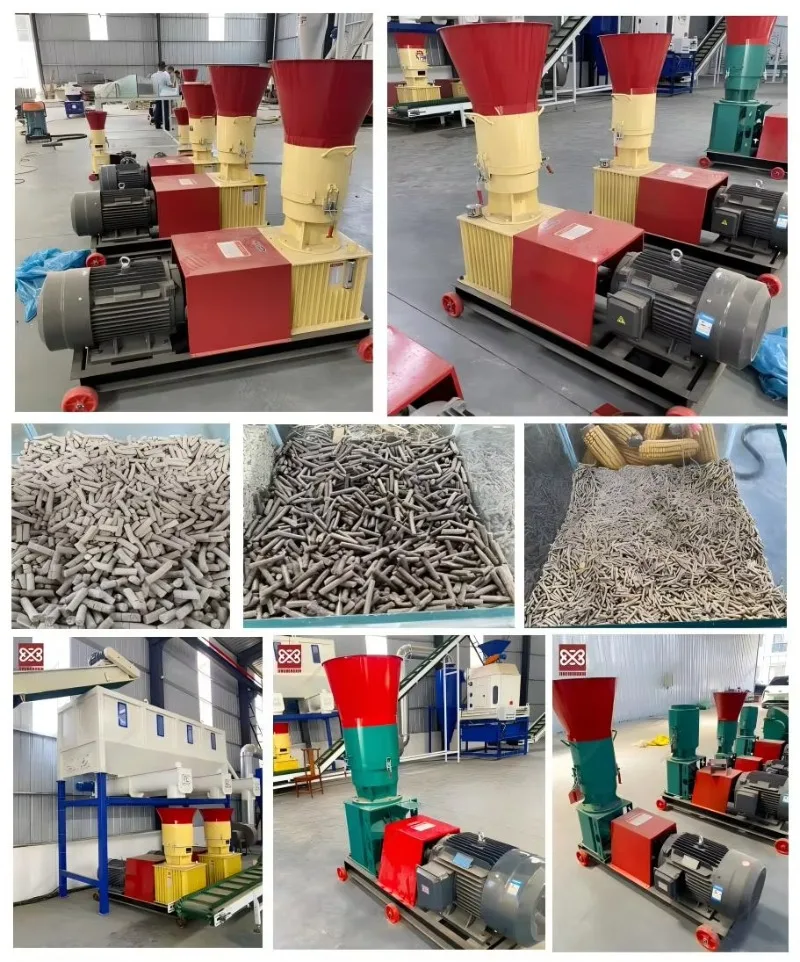 1T/H Ring Die Feed Pellet Mill Poultry Cattle Fish Animal Feed Making Machine 2-12mm Pellet Sale Support Custom