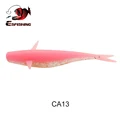 CA13