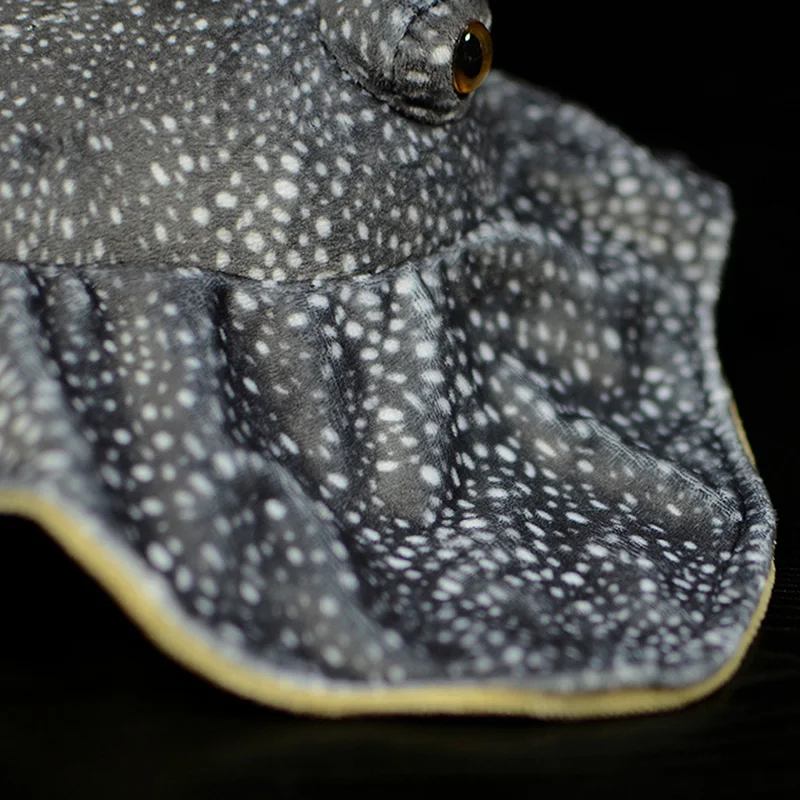 New 50x34cm Ray Rajiformes Stuffed Plush Toy Christmas Gift Simulation Raja Porosa Lovely Soft Point Doll Fish Sea Animal