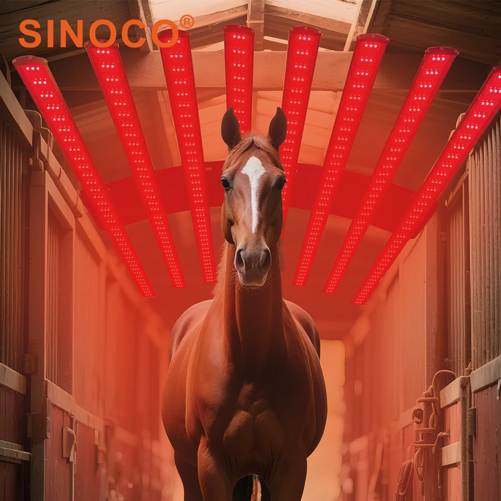 Horse Red Light Therapy Panel For Pain Relief Beauty Personal Care Red Light Lamp Pad Stand Reduces Pressure Alleviates Pain