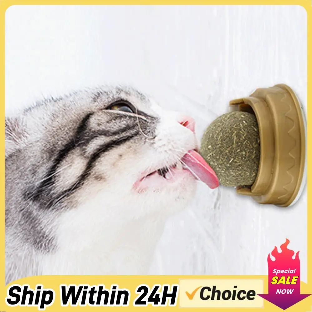 Healthy Kitten Cat Toys Stick-on Molar Teeth Catnip Snack Ball Removes Hair Balls Promote Digestion with Dust Cover Pet Supplies