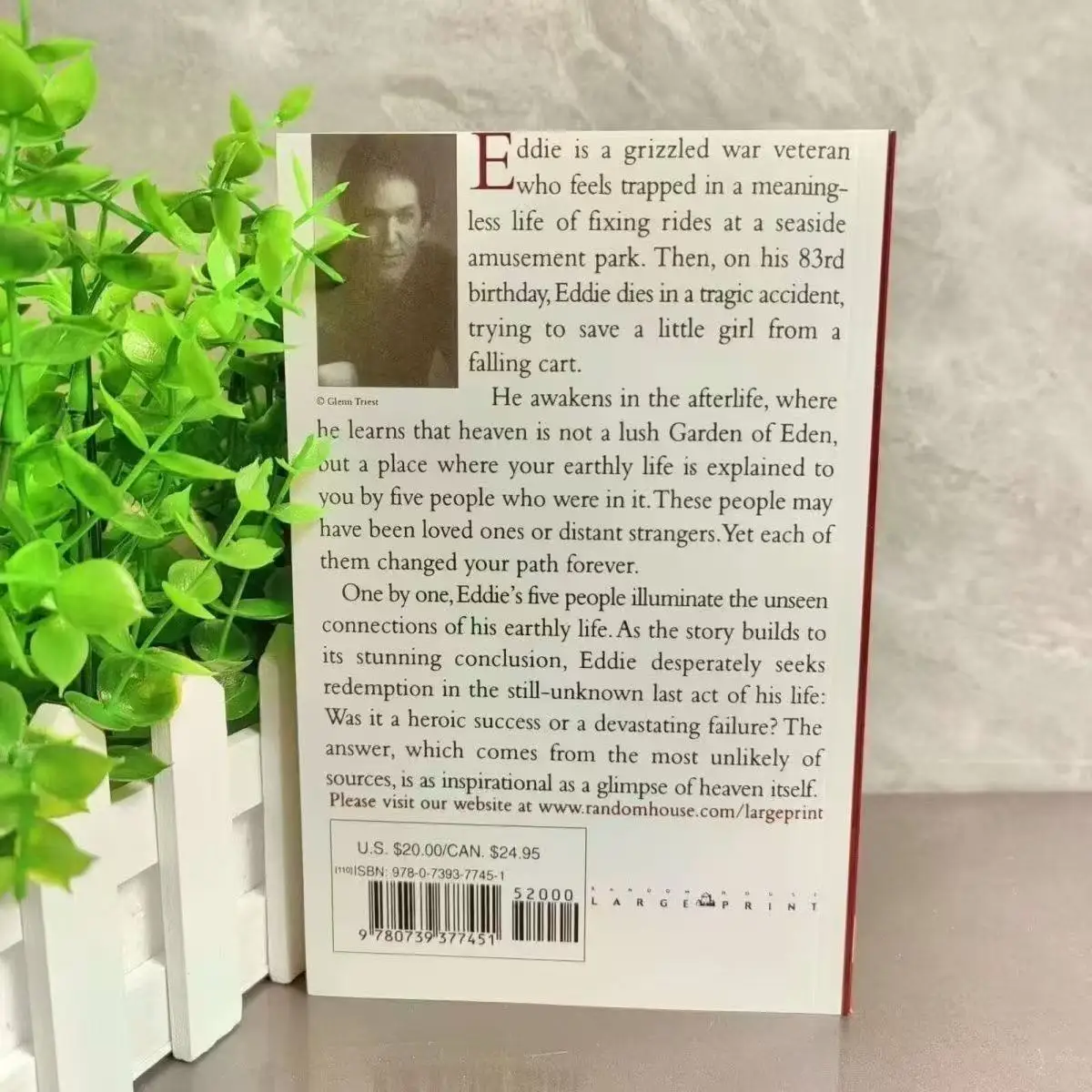 The Five People You Meet in Heaven Paperback Book in English