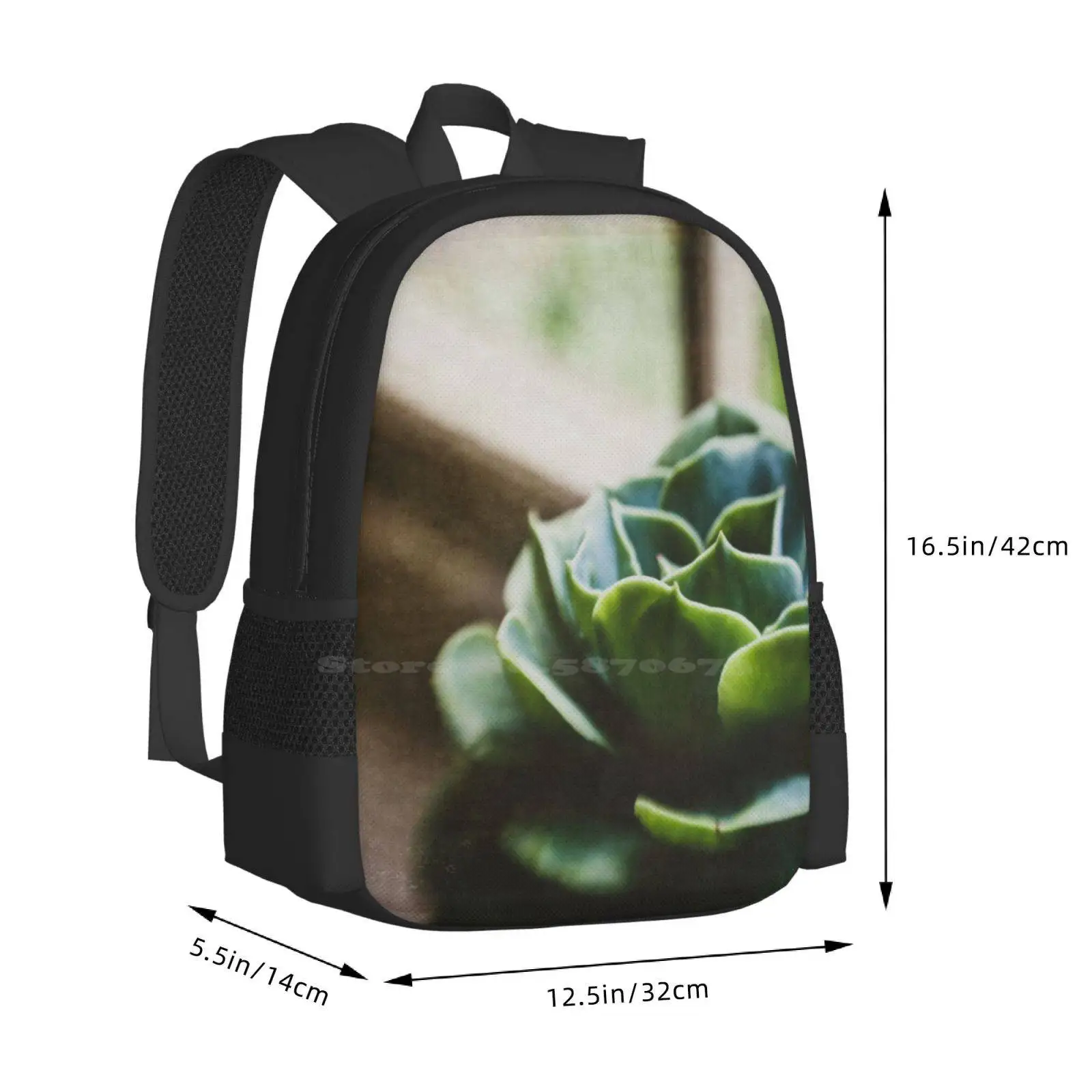 Succulent In The Window Hot Sale Backpack Fashion Bags Succulent Window Ledge Window Sill House Plant Indoors Green Phootgraph