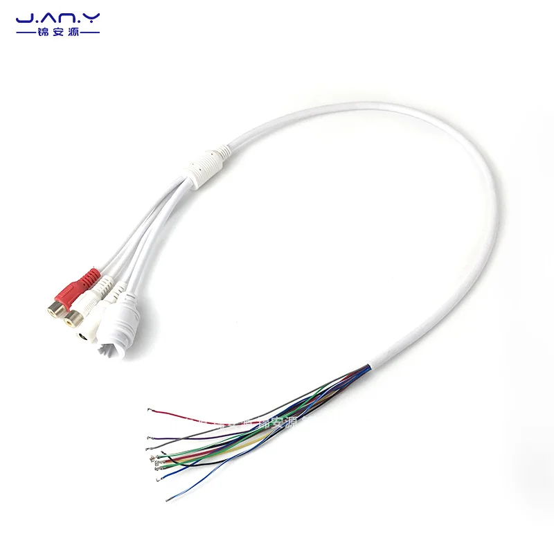 12 core dual RCA audio network waterproof tail line real-time voice intercom audio input/output multifunctional network cable