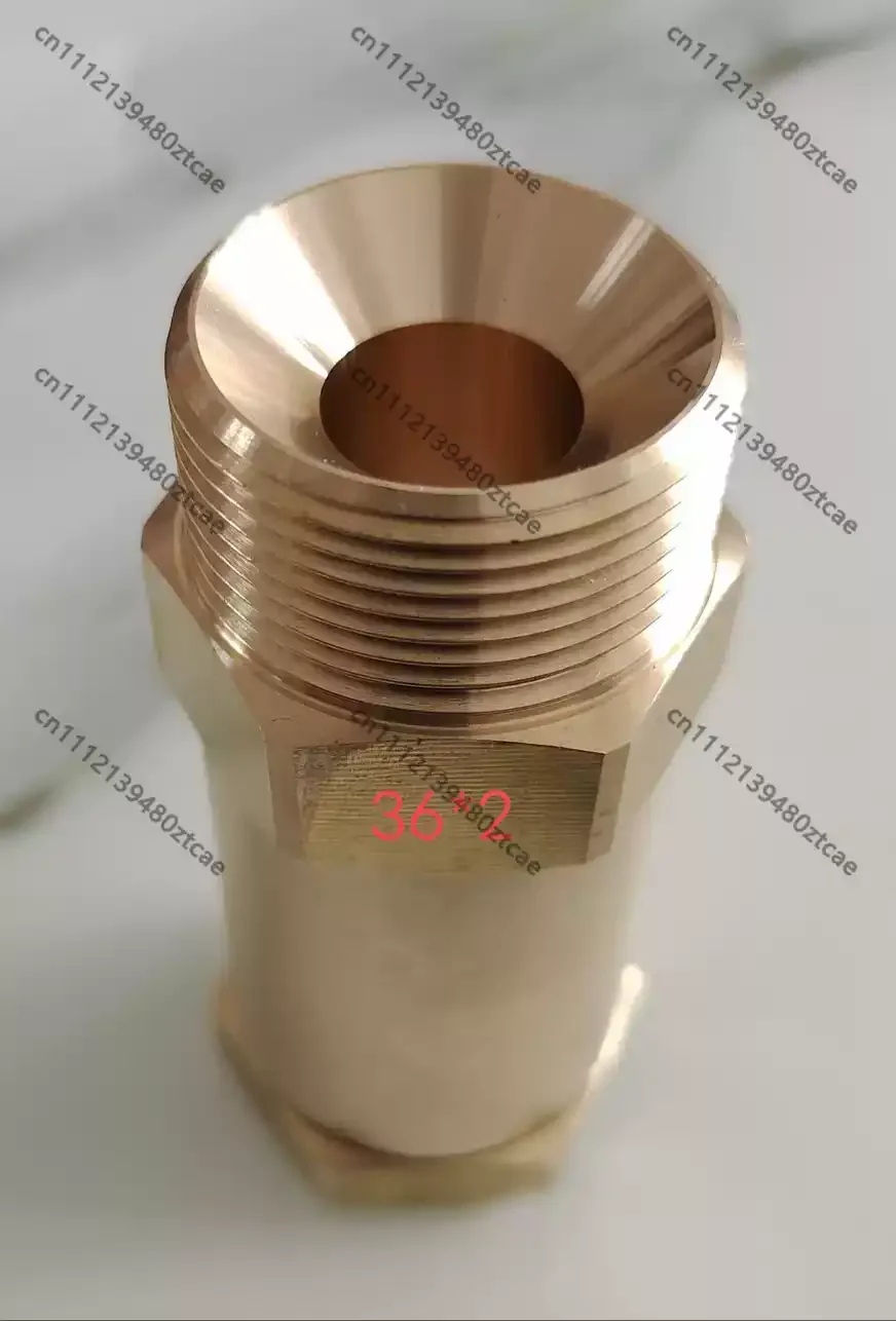 Brass Cryogenic Inlet Check Valve One Way Non Return Valve For LNG Vehicle Gas Tank