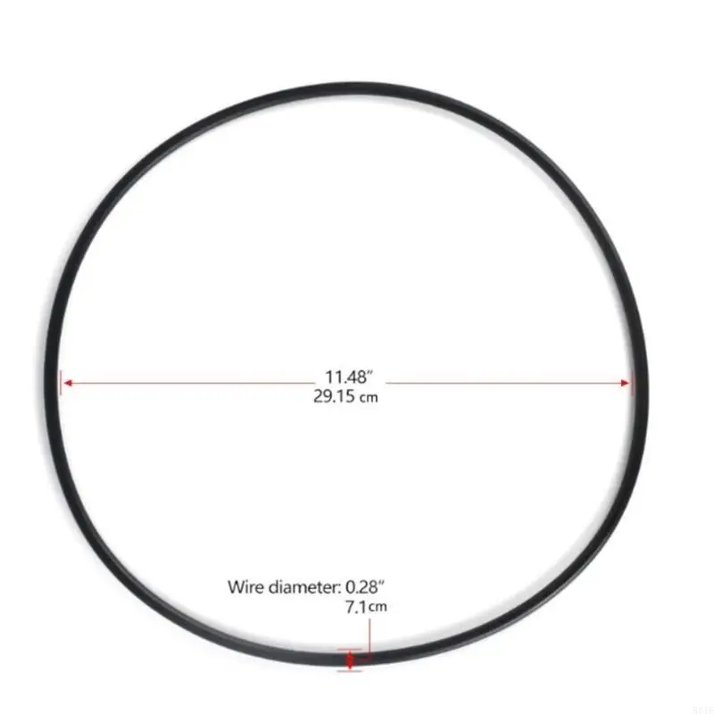 

581E Efficient Pool Filter O Rings for Maintaining Clean Water In Swimming Pools