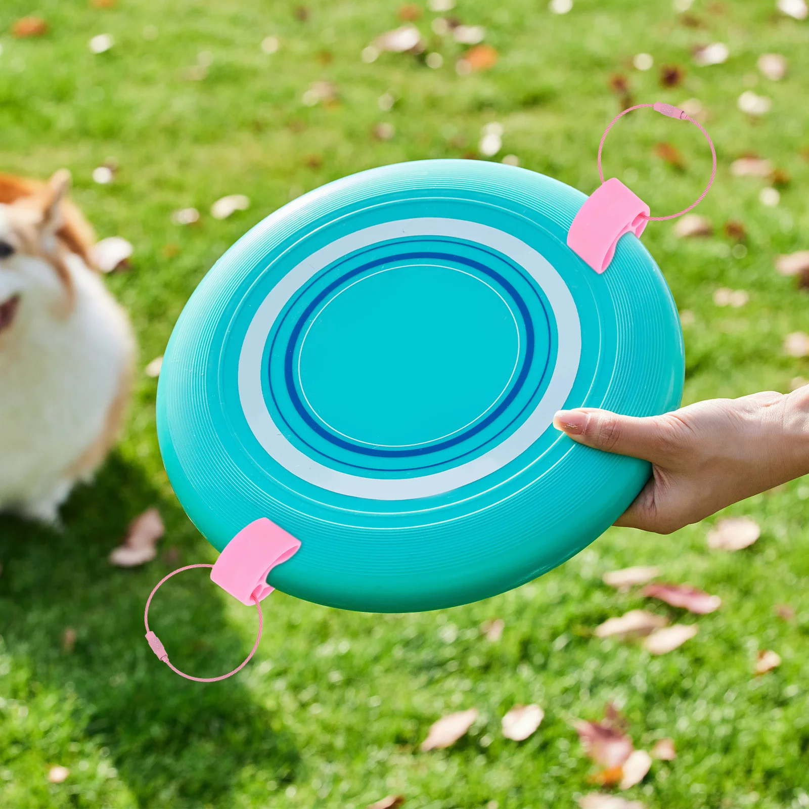 

3pcs Disc Clamp Portable Flying Disc Holder Sport Disk Hanger Hook For Outdoor Activities Team Competition