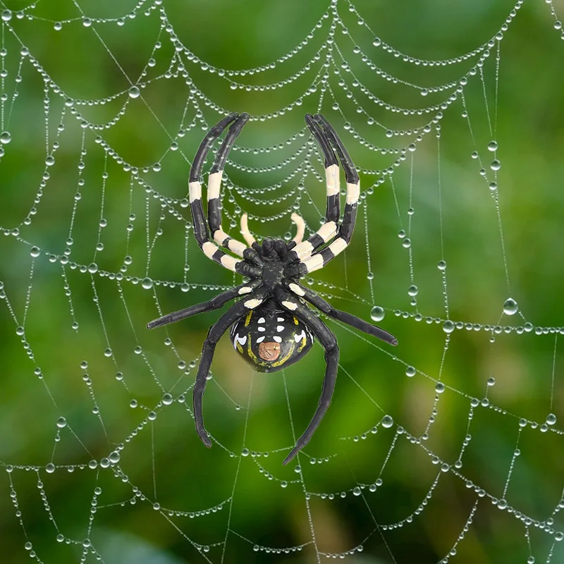 Modelo de Animal de simulación de insectos para niños, araña dorada, juguetes de broma de Halloween, Juguetes Educativos de ciencia cognitiva, regalos para niños