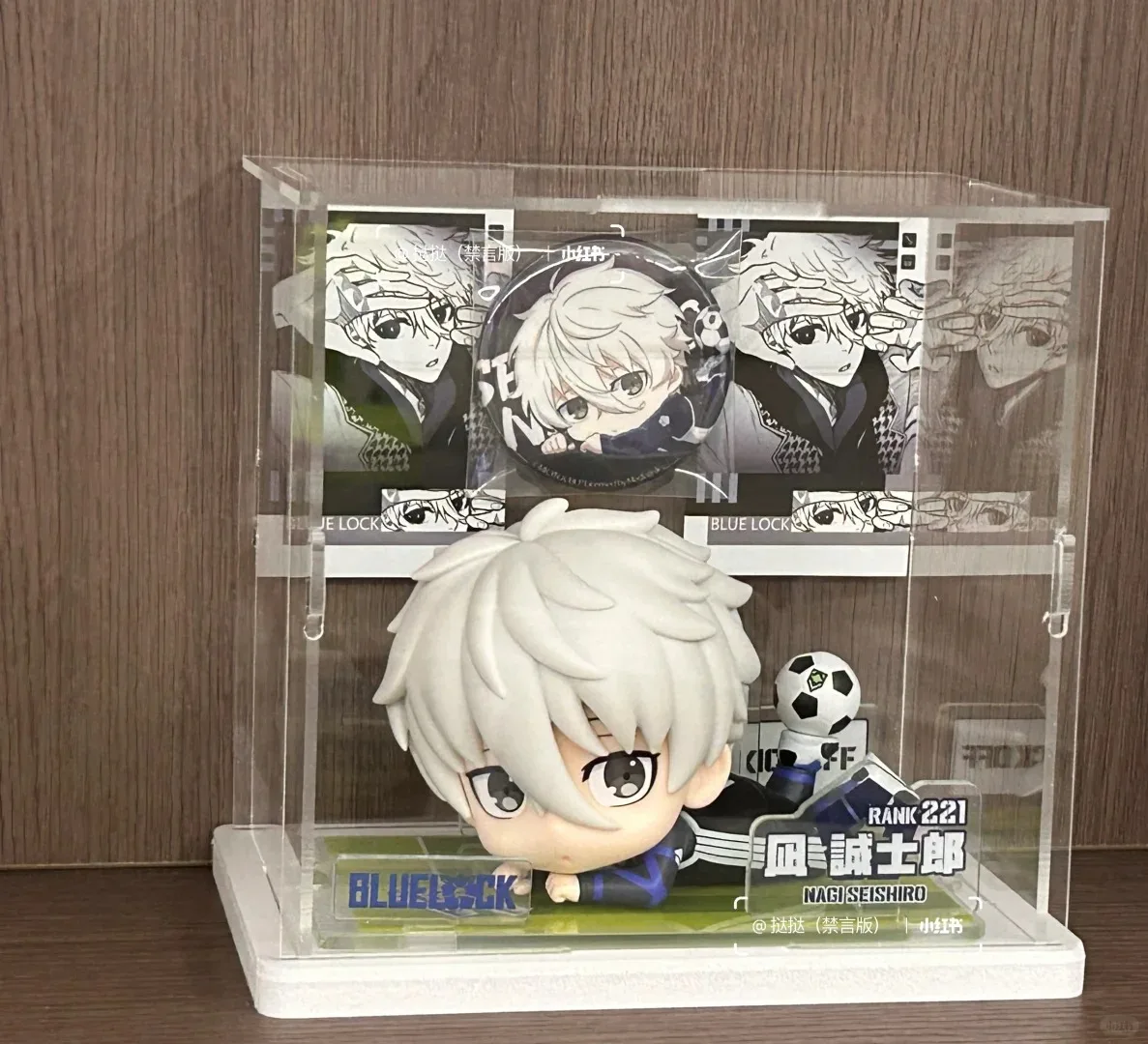 Auf Lager 10cm Blue Lock Anime Figur Q-Version Isagi Yoichi/Nagi Seishiro Actionfigur Sammlermodell Puppe Spielzeug Geburtstagsgeschenke – Detail 14