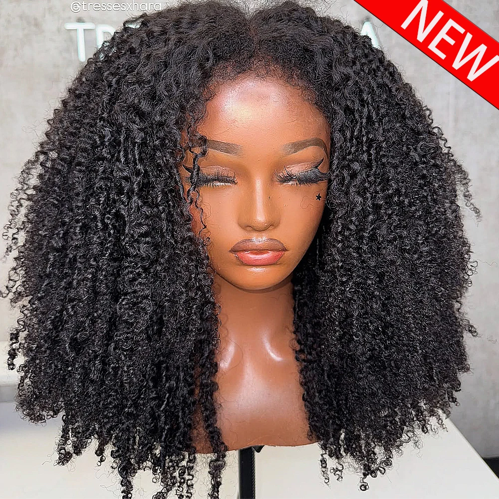 

300/400 Density Kinky Curly 100% Human Hair Wigs 13x4 HD Lace Frontal Wigs Wear And Go For Women 360 Lace Frontal Wigs For Women