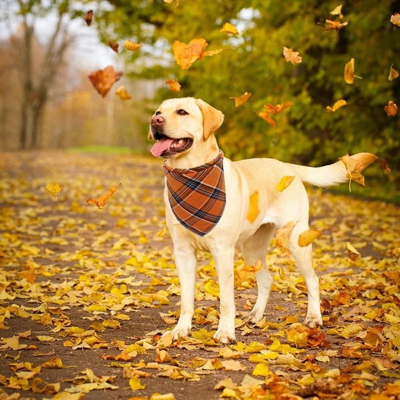 Dog Bandanas With Tassels Edges Plaid Dog Scarf Bib Plaid Pet Triangle Scarf Tassel Bandanas