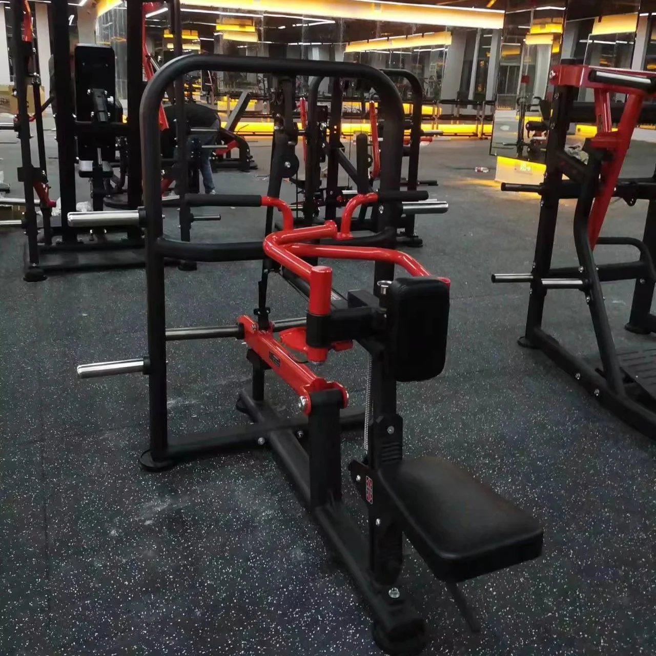 

Commercially Used Gym Fitness Equipment Steel Plate Loaded Strength Machine for Back and Arm Workout