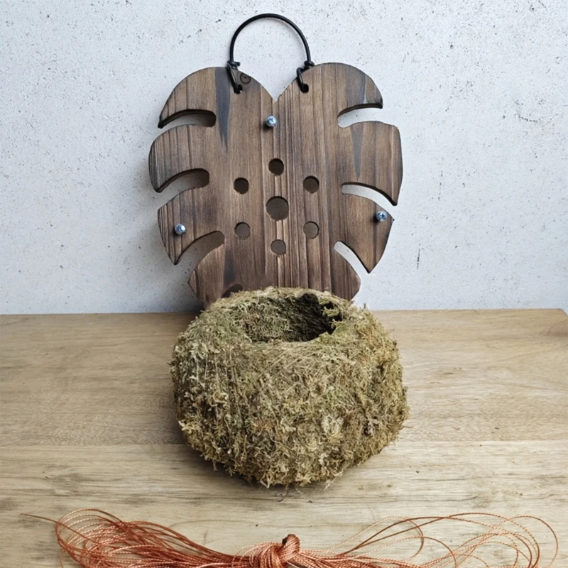  Iron Hook Equipped Ferns Display Board Natural Wooden Home Garden Decoration