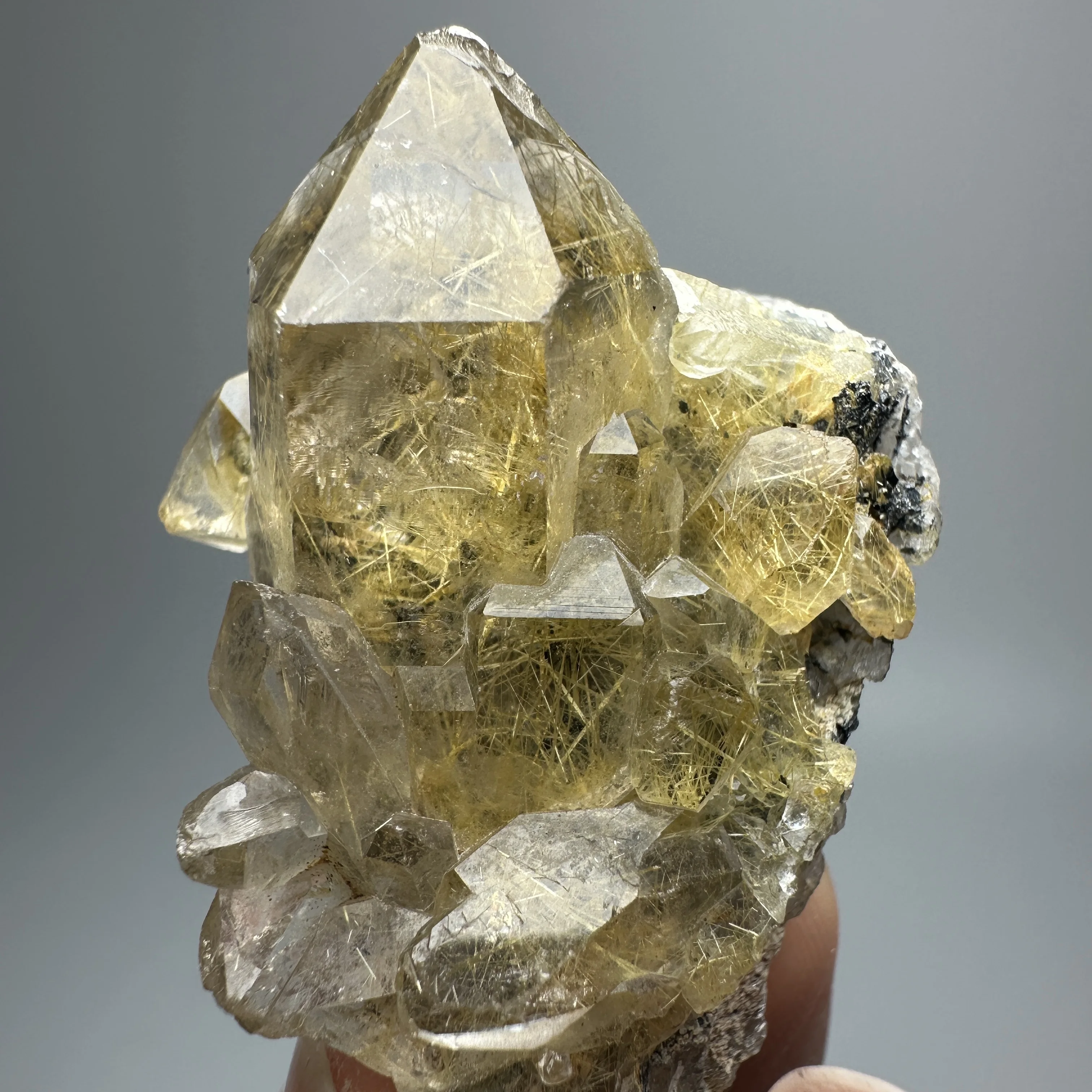 Natural Brazil Gold Rutilated Quartz Specimen with Specular Hematite Symbiosis Raw Crystal Mineral Collection