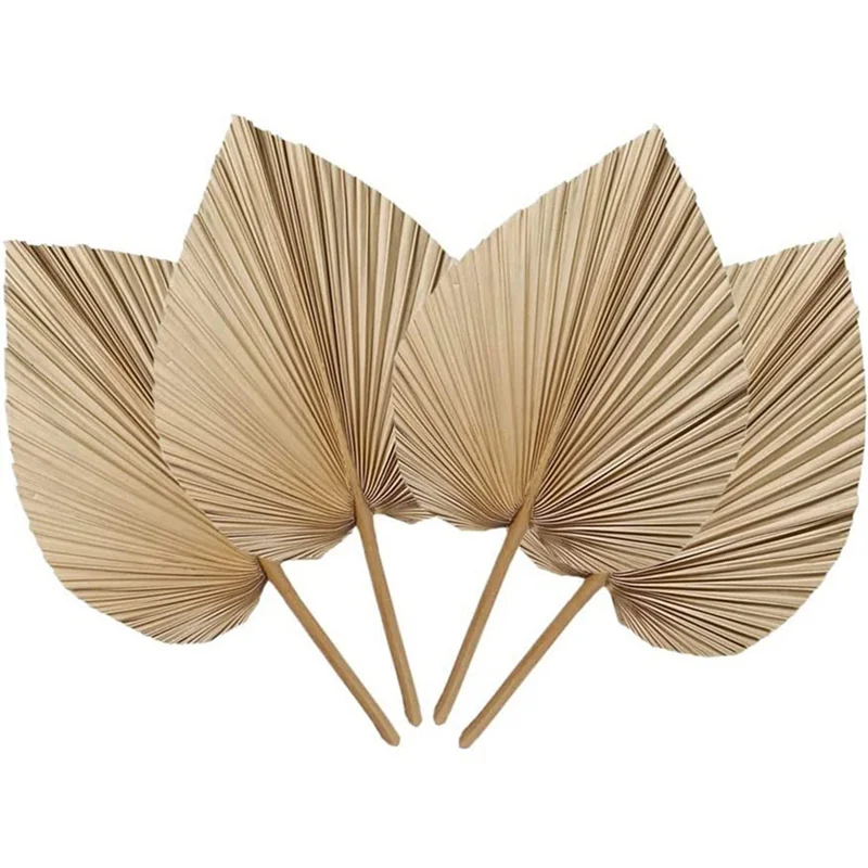 New 4 Pieces Natural Dried Palm Leaves are Perfect for Palm Leaf Decor, Boho Decor, Home Decor, Wedding