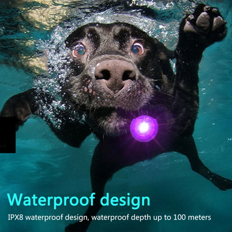 IPX8 Waterproof Pet Dog Collar Pendant USB Rechargeable Night Safety Pet LED Light Flashing Pendant Collar for Dog Accessories