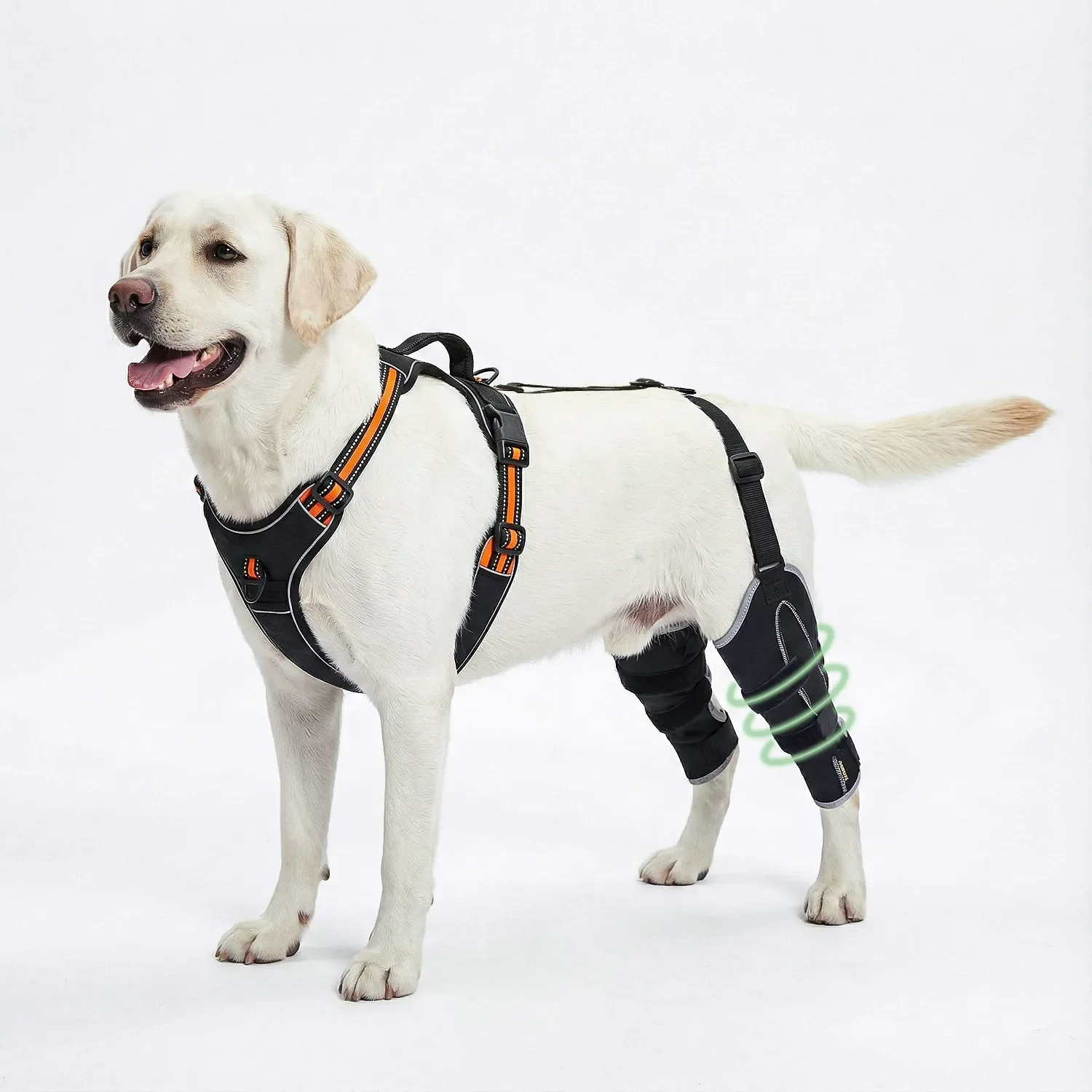 Dog Double Knee Brace for Torn ACL CCL,Adjustable Hind Leg Support & Recovery, Puppy Leg Brace for Injury & Joint Pain Relief