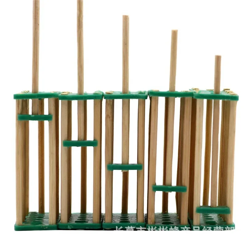 100PCS Bee Set Beekeeping Tool Bamboo  Cage  Plastic Multifunctional  Cage Prisoner  Cage Italian view 5