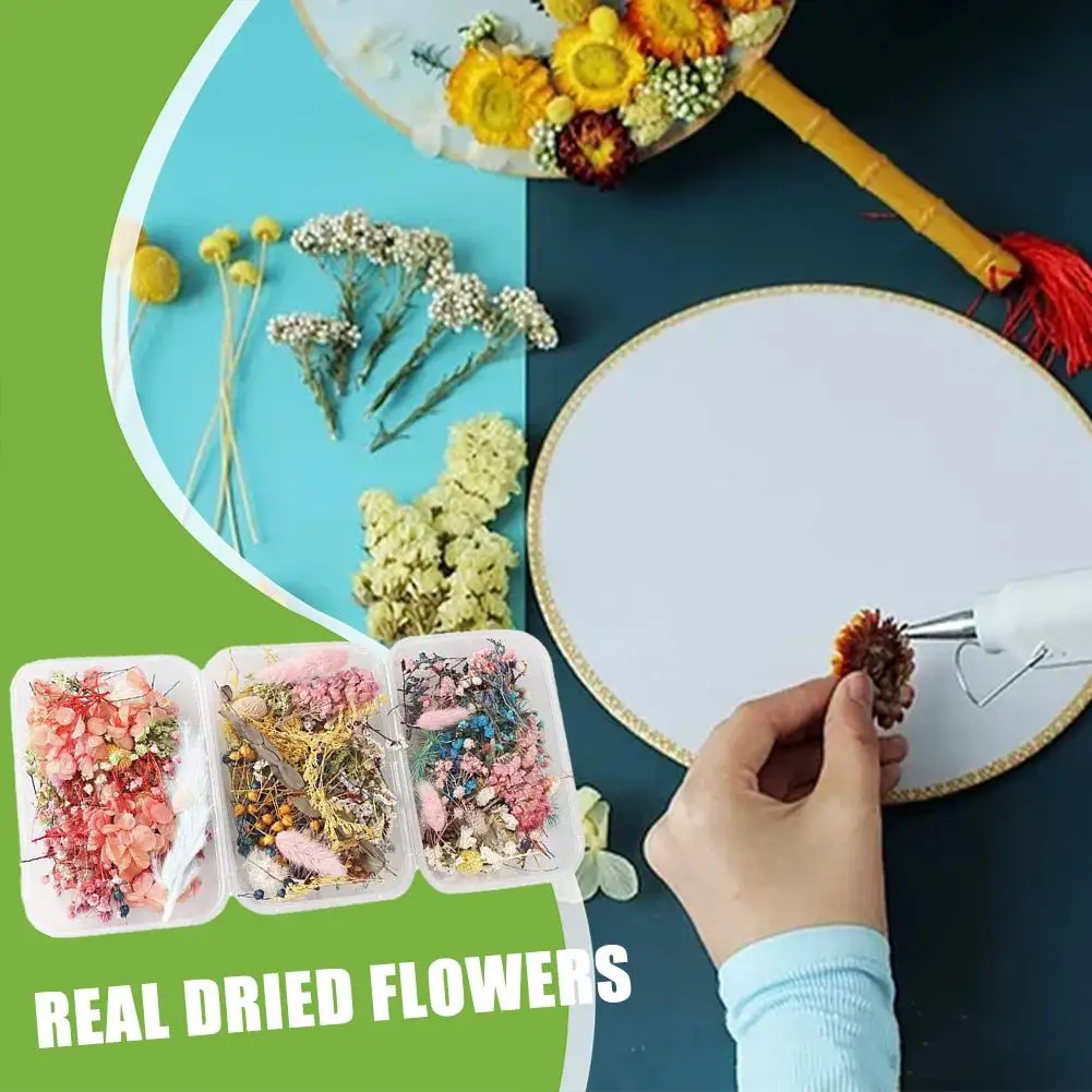 Colorful Natural Dried Flowers For Epoxy Resin Handmade Crafts DIY Bouquet Garland Candle Making Home Wedding Box Flower Decor