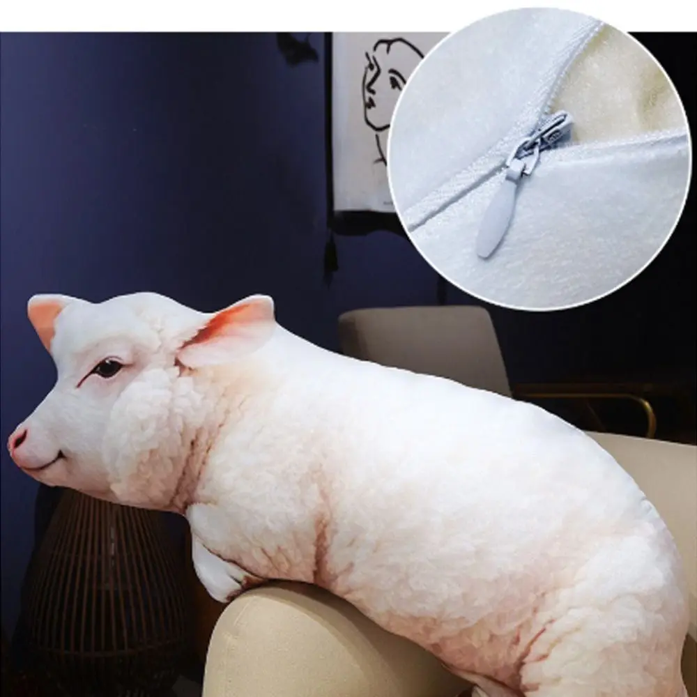 Product photo 5