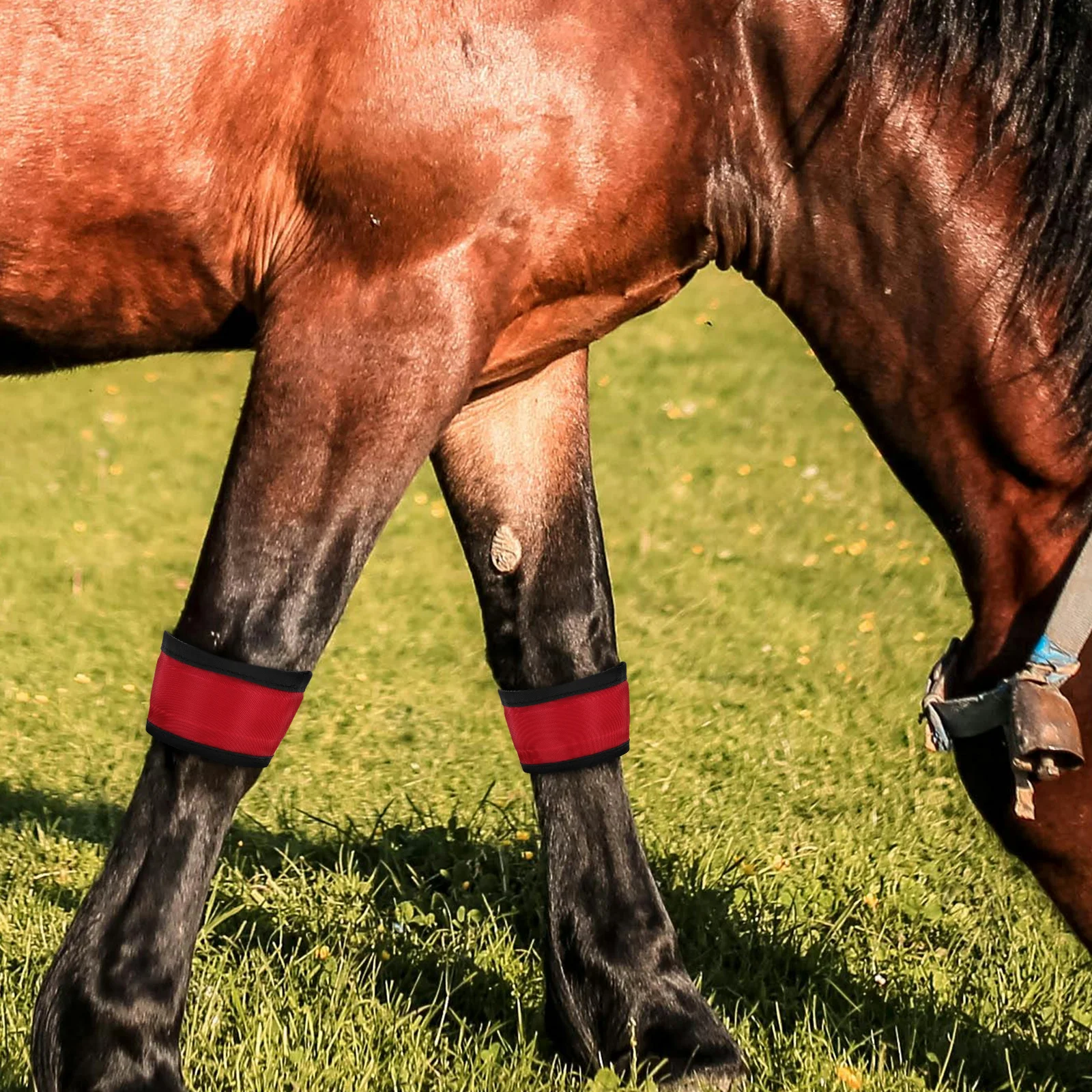 

4 Pcs Horse Ankle Strap Leggings Flash Wristband Gear at Night Glowing Tack Red Collars