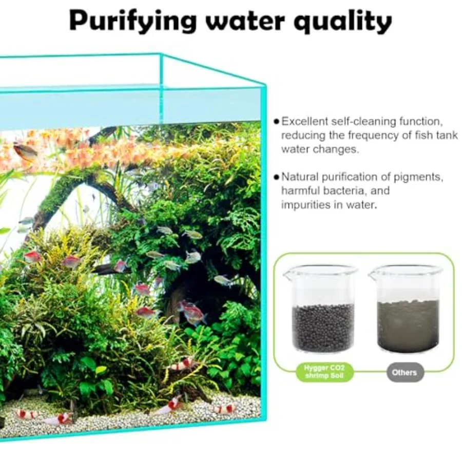 aquarium base layer