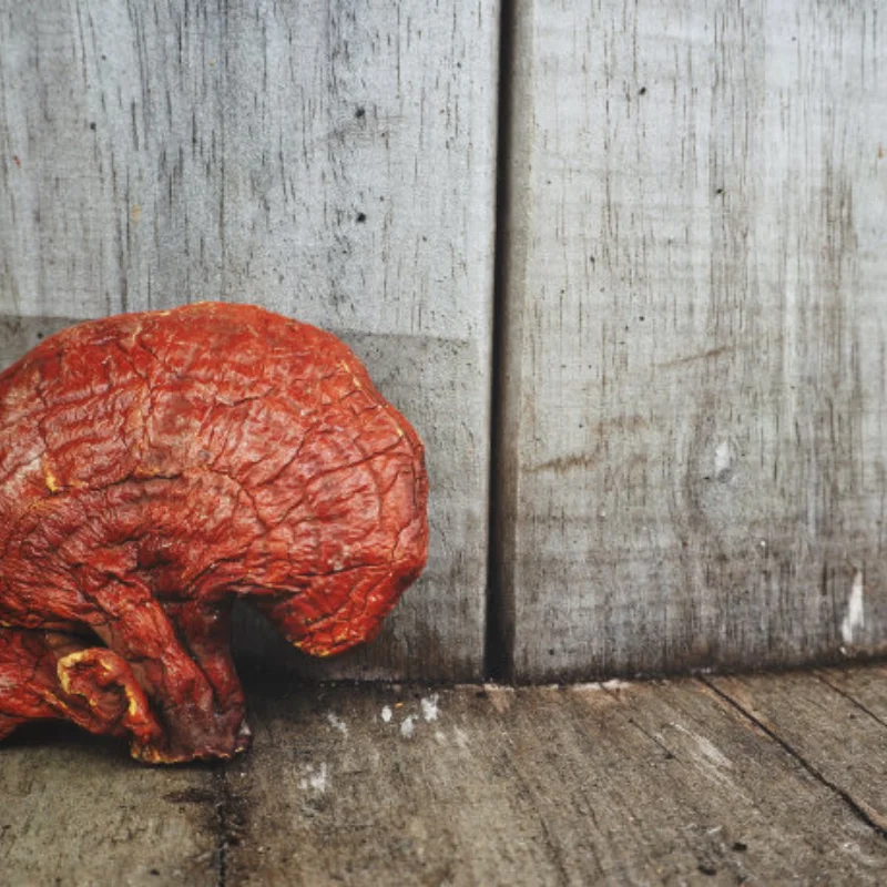 

4pcs 1.9 Inch Offset -8mm Beadlock RC Wheel Rim Set Wheel Hub for 1:10 Car Crawler Axial SCX10 II 90046 SCX10 III AXI03007 TRX4