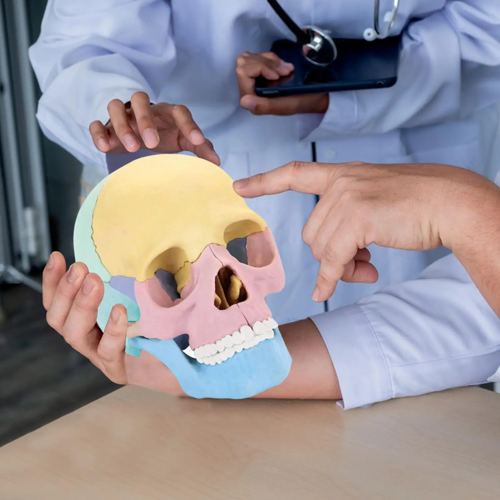 Anatomy Skull Model Human Anatomy Skull Puzzle, Detachable Mini Human Skull Model, Clinic Teaching