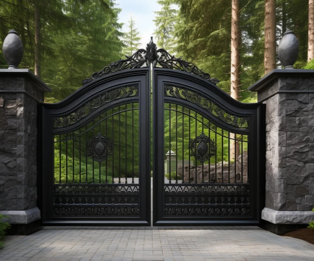 Custom Made in China Iron Garden Gate, Vintage Entrance Door for a Villa