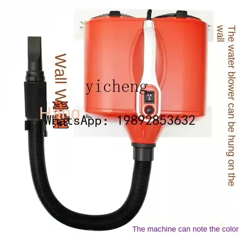 b20 dog large dog pet shop hair dryer high power silent dual motor water dryer hair pulling machine