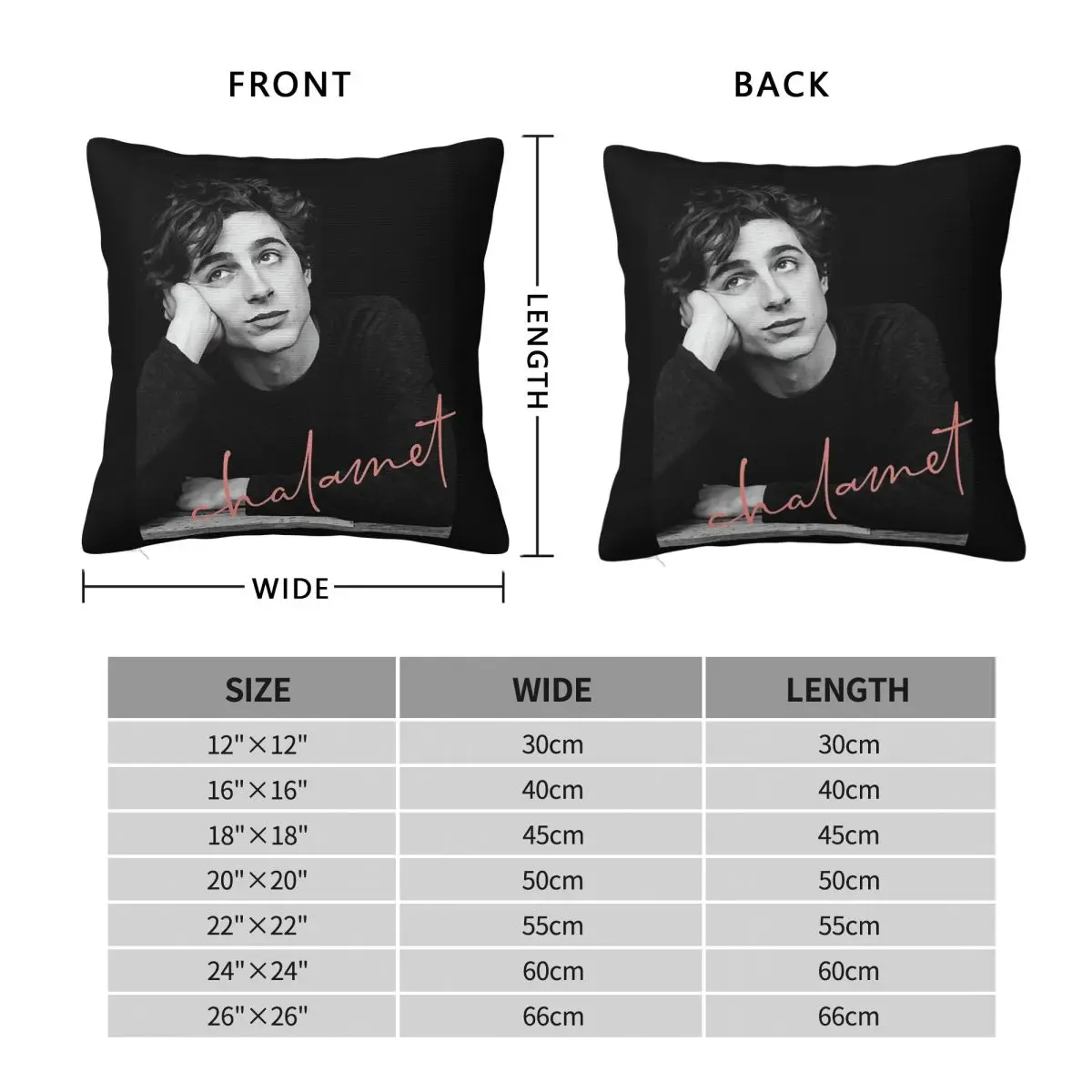 Timothee Chalamet Awesome Square Pillowcase Polyester Linen Velvet Printed Zip Decor Throw Pillow Case Home Cushion Cover 18