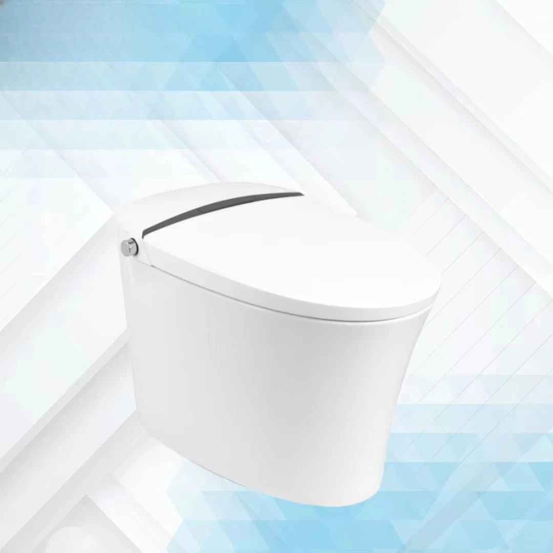 Intelligent Wc One …