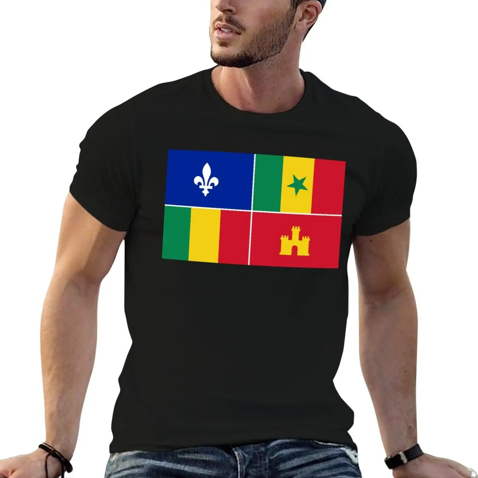 

Louisiana Creole Flag T-Shirt man t shirts graphic t shirts for man pack white graphic t shirts for man T-Shirt