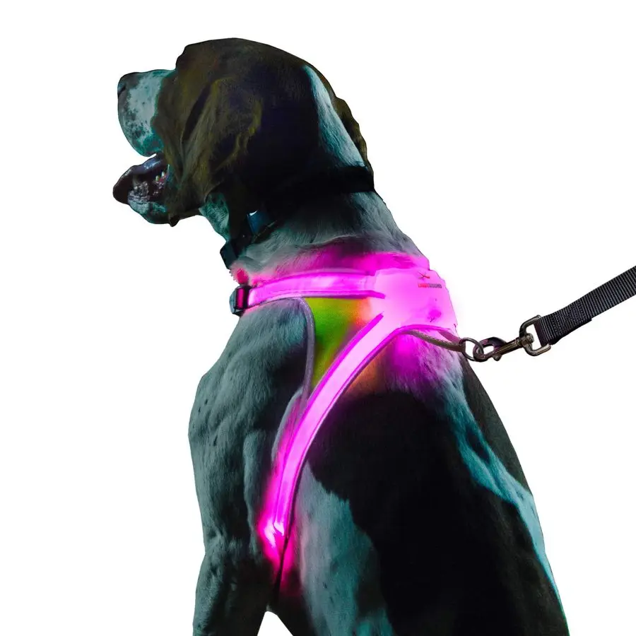 

LightHound u2013 Revolutionary Illuminated and Reflective Harness for Dogs Including Multicolored LED Fiber Optics USB Recharge