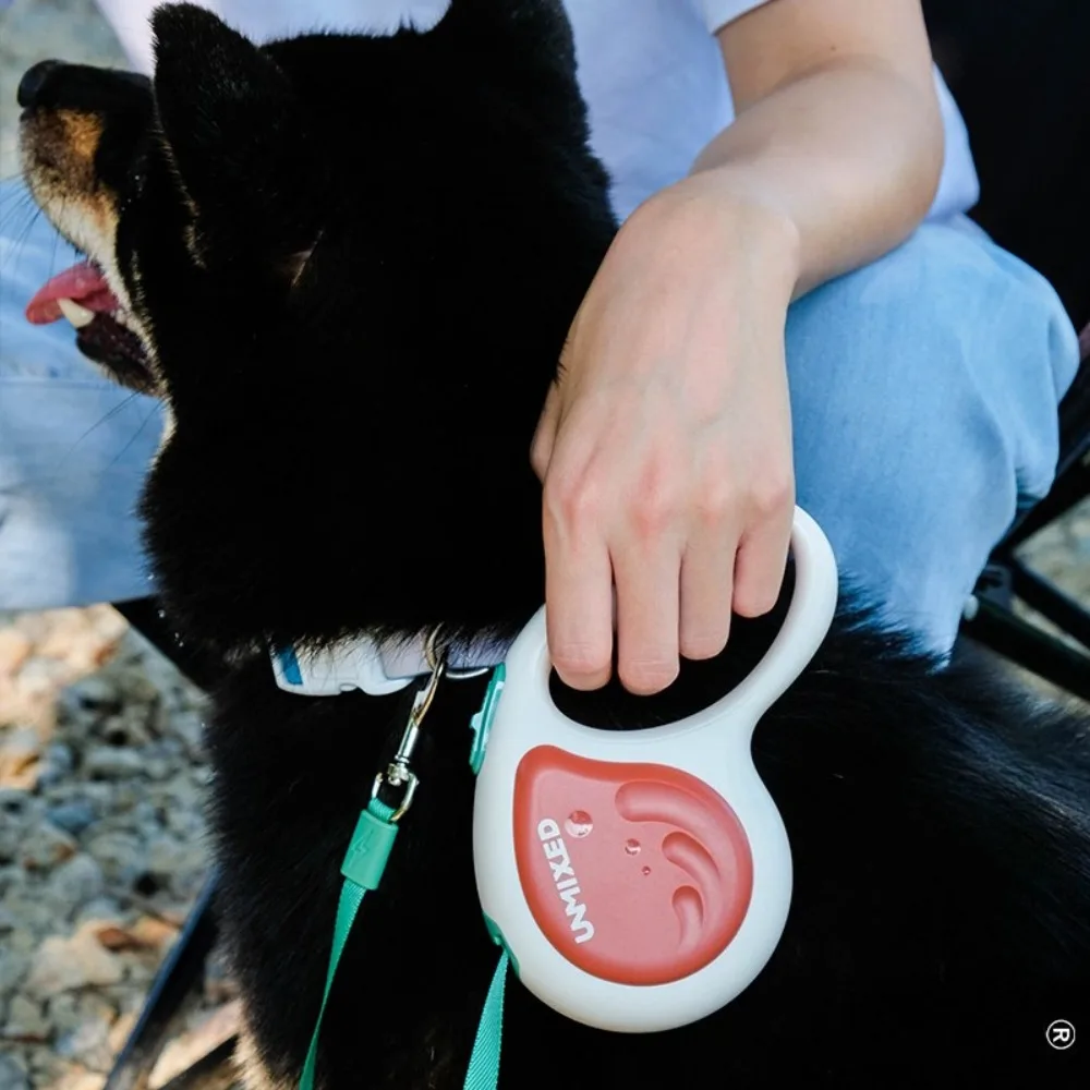 

Pet Training Leash 3m Automatic Retractable Outdoor Adjustable Portable Dog Walking Leash Durable Pet Supplies Products