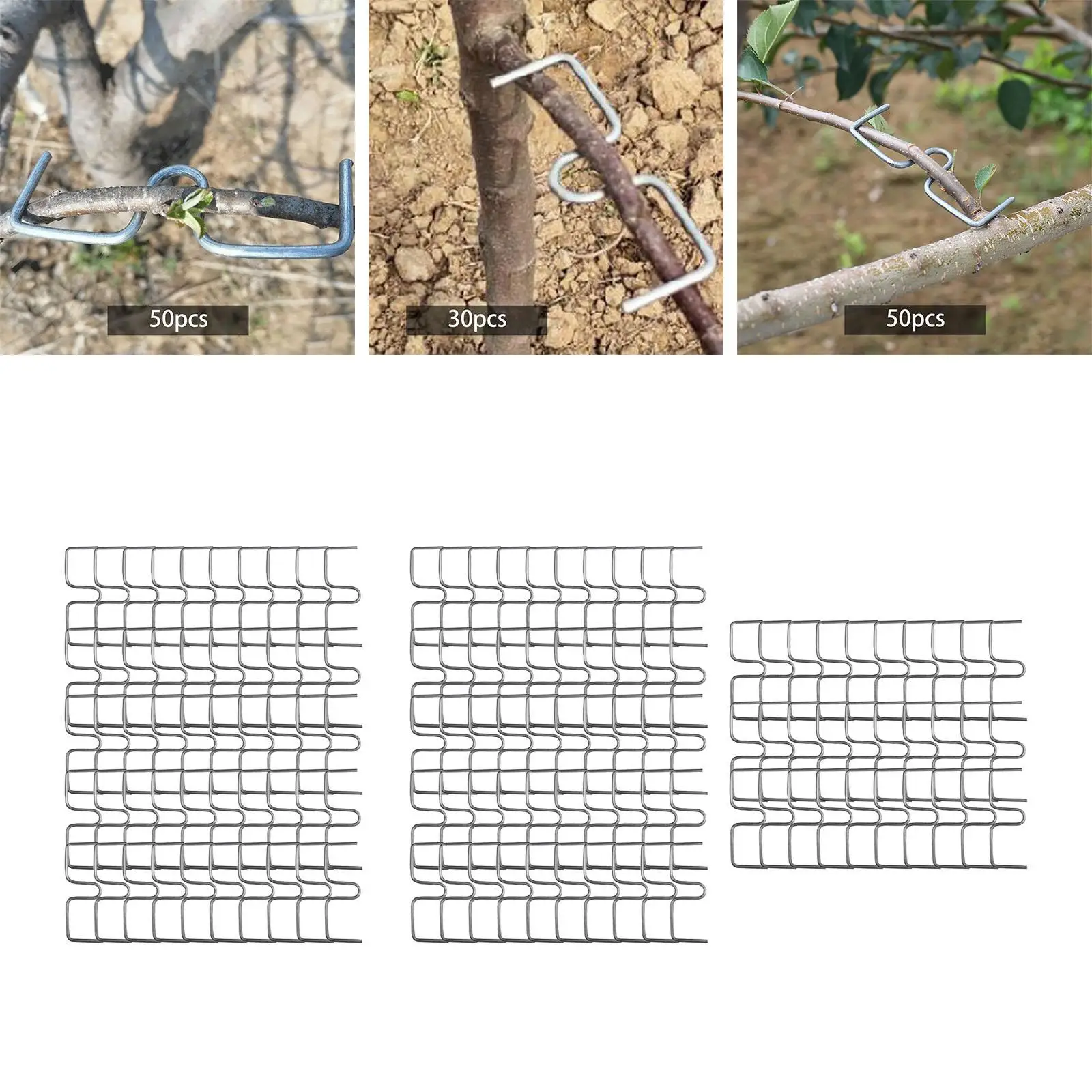 50 Pieces Fruit Tree Branch Puller Rustproof Garden Tool for Pear Peach Strong Spreading Crotch Angles Branches Flowers Orange