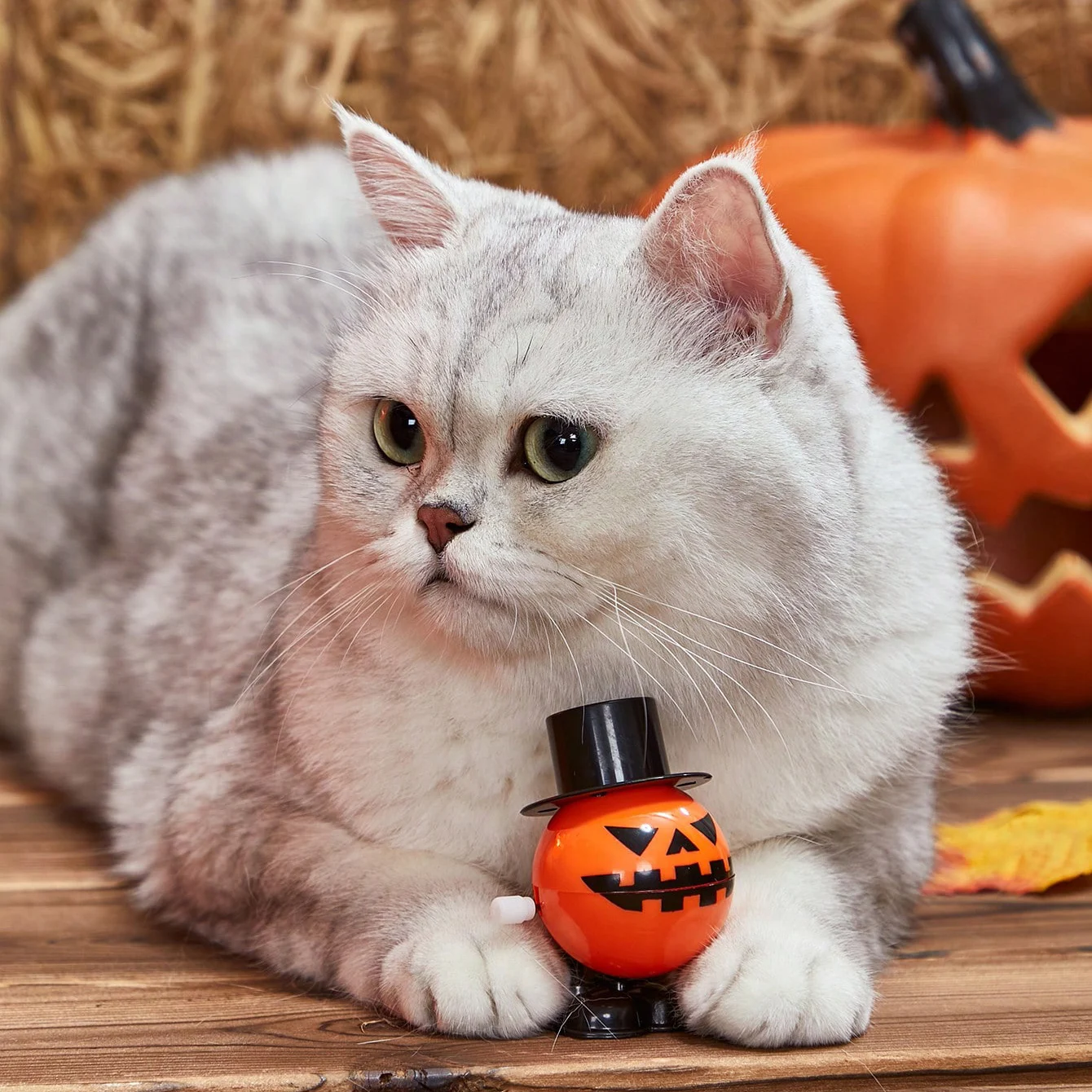 Juguete de mecanismo de relojería de calabaza para mascotas, juguetes interactivos y decoraciones de Halloween, juguetes de salto/caminar para favores de fiesta, 1 unidad