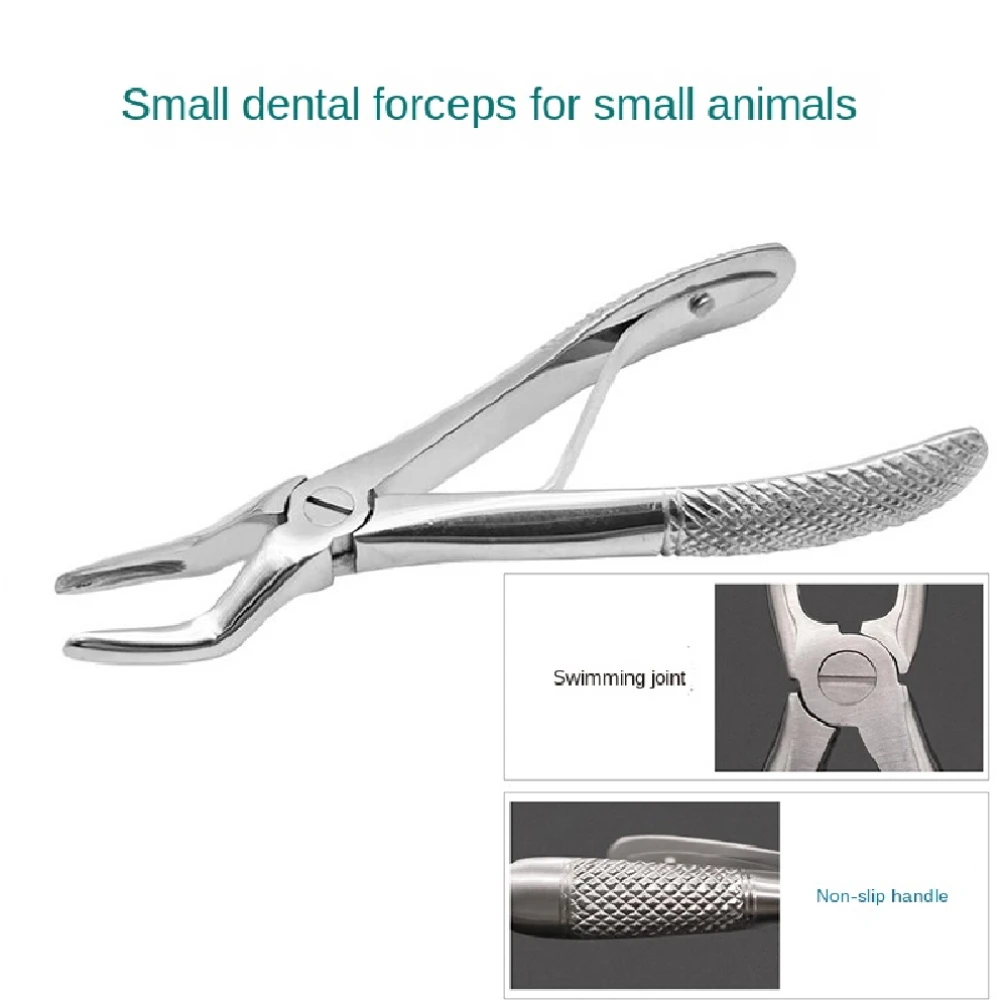 Professional Animal Dental Cat Dog Extraction Pliers Pet Tooth Extraction Stainless Steel Tools Up And Down Jaw Universal Type