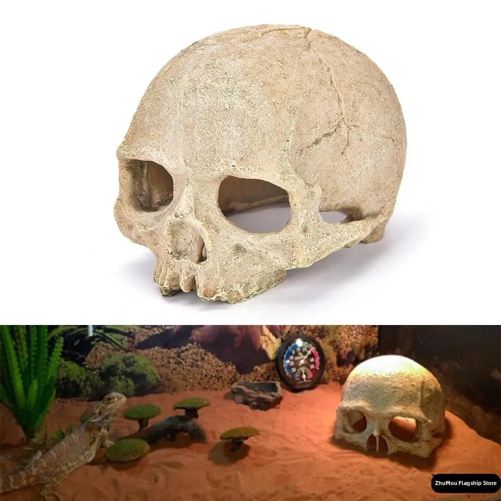 

Декор для аквариума: украшения для аквариумов, декорации для рыбных бассейнов, украшения в виде паука, змеи, питона, скелета, головы, костей, аксессуары для домашних животных, принадлежности для черепах