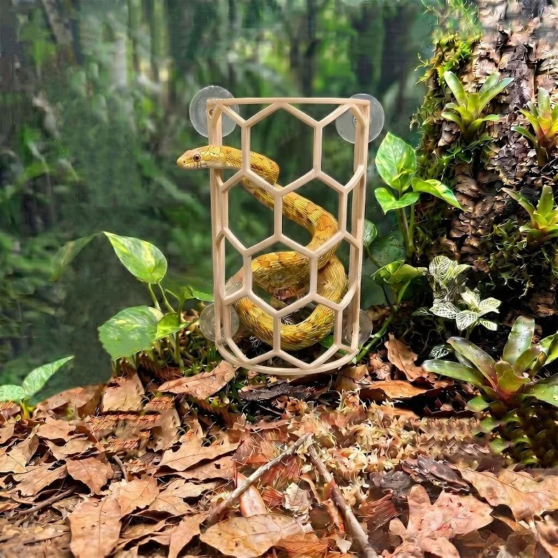 For Reptile Climbing Frame, Snake Rest Platform, Feeding Box Wall Decoration Accessories