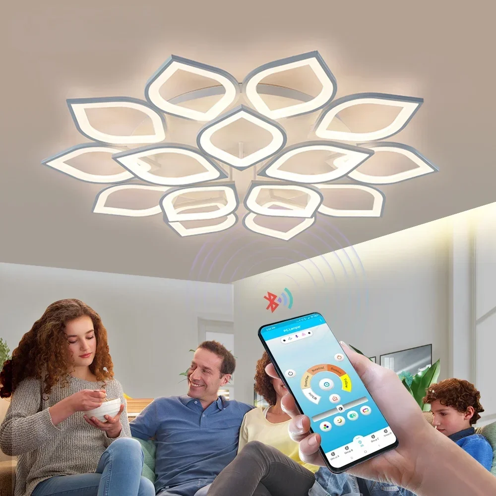 

Modern Acrylic Led Ceiling Light Lamp for Living Room Bedroom Adjustable Brightness Fixtures