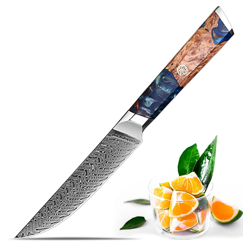 

Utility Knife Damascus 5 Inch Paring Fruit Knife, Japanese Damascus VG10 Steel Kitchen Small Knife,Ergonomic Blue Resin Handle