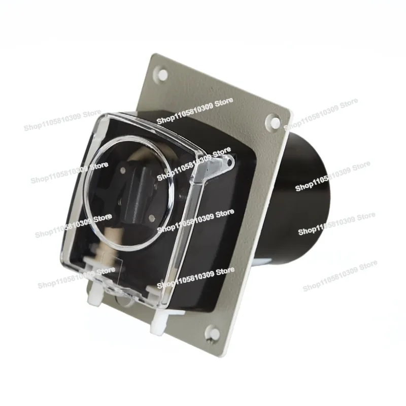 Peristaltic Pump Biological Fermentation, Flue Gas Monitoring 5 Rpm/10 Rpm/60 Rpm/80 Rpm Peristaltic Pump Manufacturer