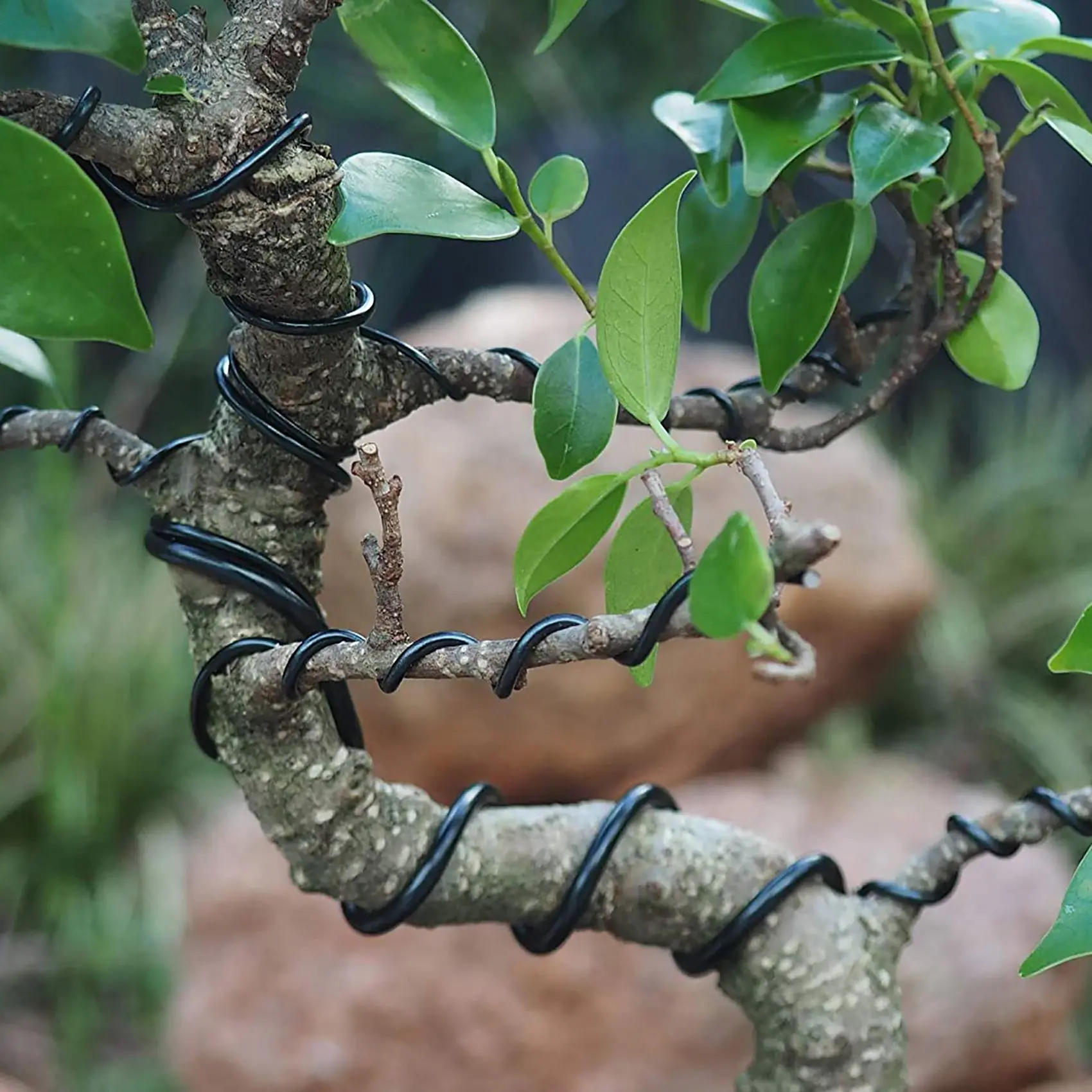 Drut treningowy do bonsai z anodyzowanego aluminium Zestaw 5 rozmiarów-1,0 mm, 1,5 mm, 2,0 mm, 2,5 mm, 3,0 mm (łącznie 147 stóp) - Wybierz swój kolor (5 rozmiarów, czarny)